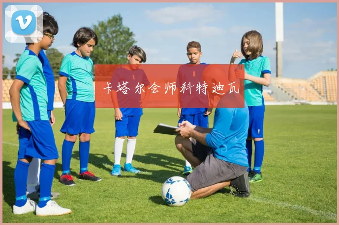 卡塔尔会师科特迪瓦