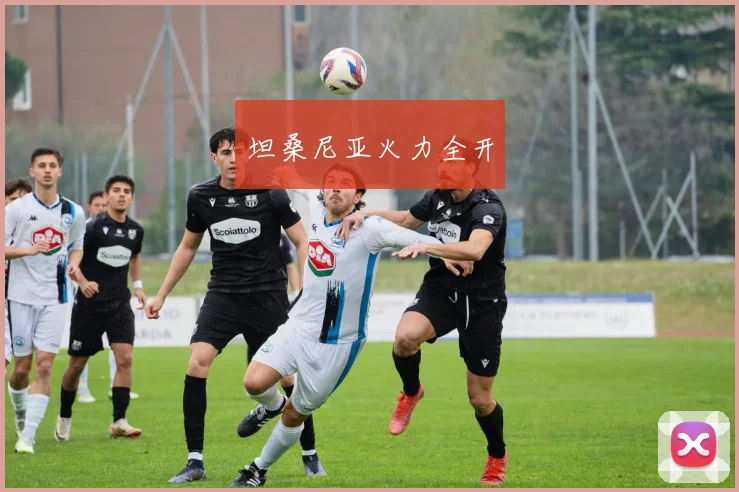 坦桑尼亚火力全开