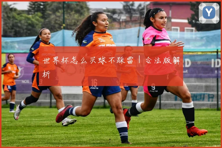 世界杯怎么买球不踩雷|合法版解析