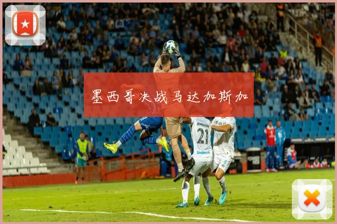 墨西哥决战马达加斯加