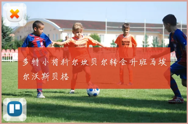 多特小将科尔坎贝尔转会升班马埃尔沃斯贝格