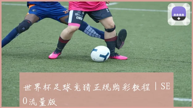 世界杯足球竞猜正规购彩教程|SEO流量版