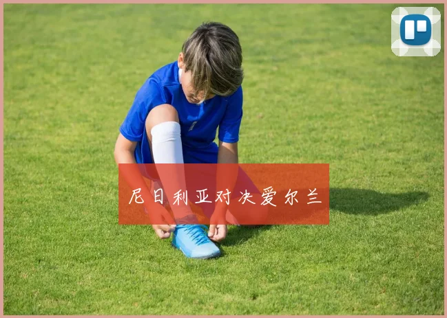 尼日利亚对决爱尔兰