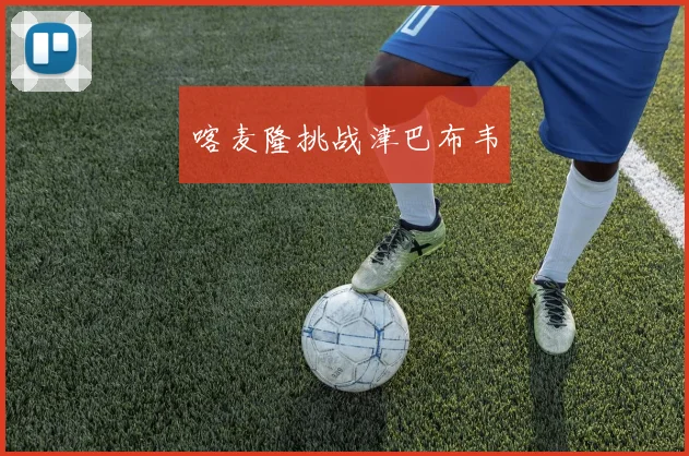 喀麦隆挑战津巴布韦